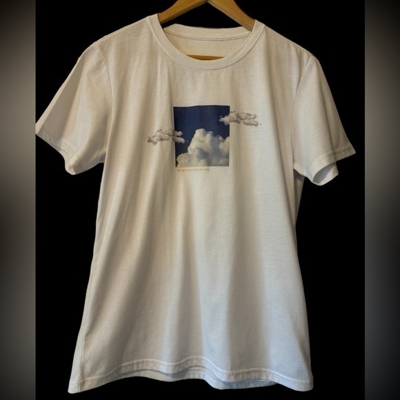 Shein men’s Medium short sleeve tee - Picture 1 of 5